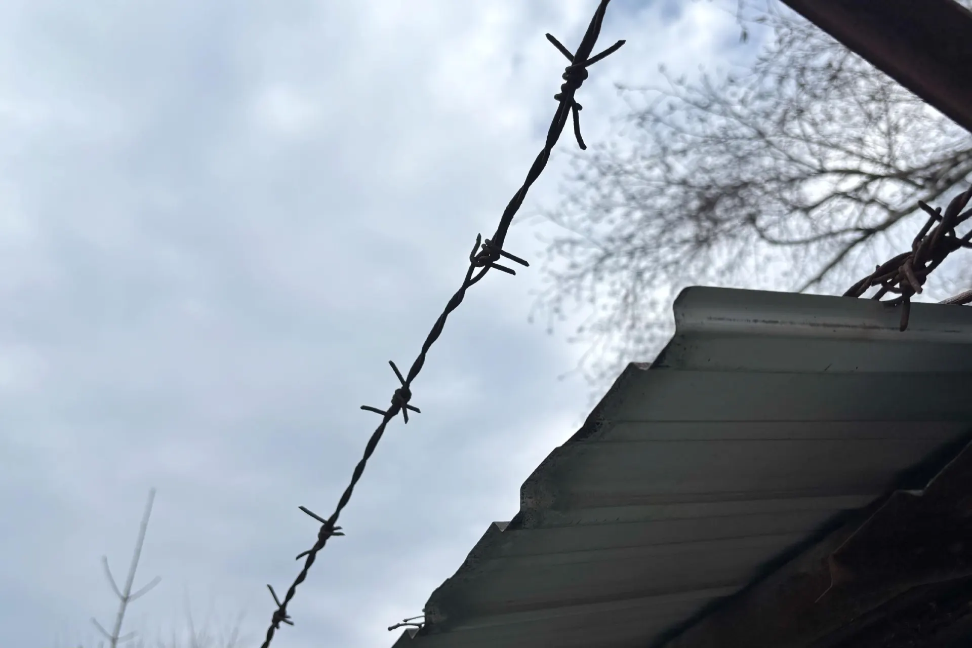 Женщину поместили под стражу по делу о том, что она нанесла своему сожителю несколько ножевых ранений в голову.