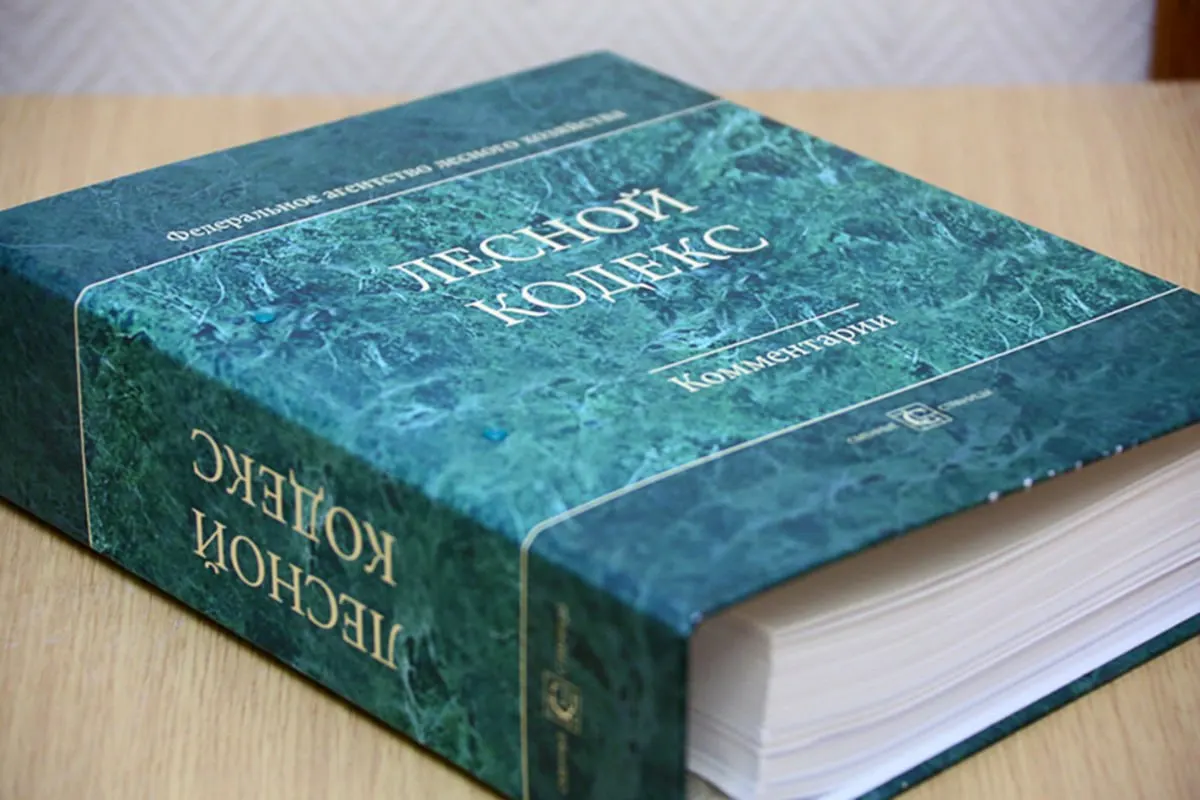 Кодекс, принятый в 2006 году, пережил многочисленные поправки: эксперт по лесному хозяйству считает, что документ нужно упростить и принять заново.