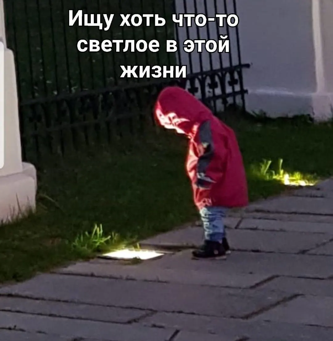 Депутаты призывают пользоваться проверенными сервисами и готовят единый информационный портал туризма после роста числа фейковых сайтов, рассылок и поддельных предложений.
