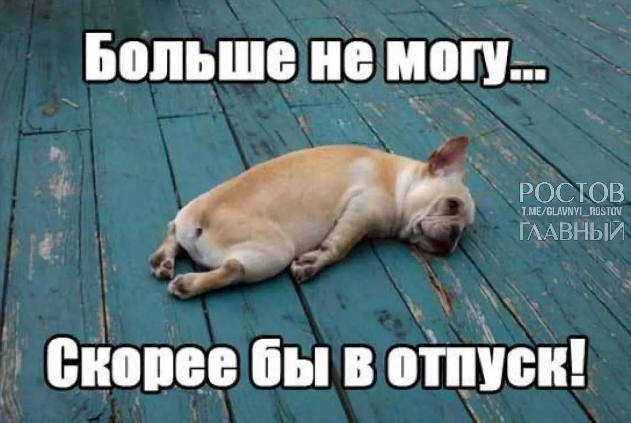 В Госдуме предложили увеличить минимальную продолжительность ежегодного отпуска с 28 до 35 дней, чтобы компенсировать включённые в отпуск выходные и снизить риск профессионального выгорания.