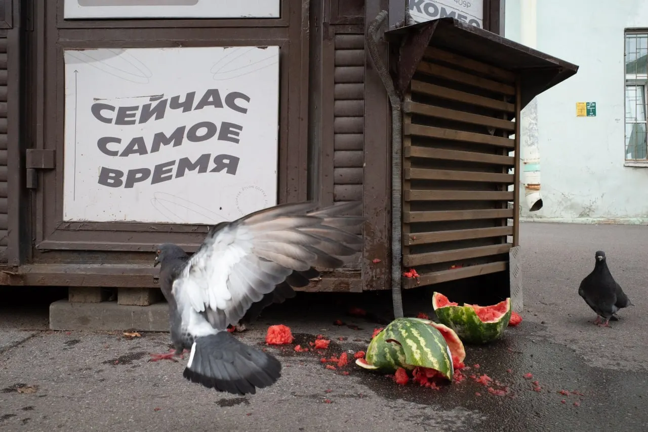 Штраф за антивоционную позицию, панихиды и памятные акции, а также кадровые перестановки в Минобороны — крупнейшие события недели в Петербурге, России и мире.