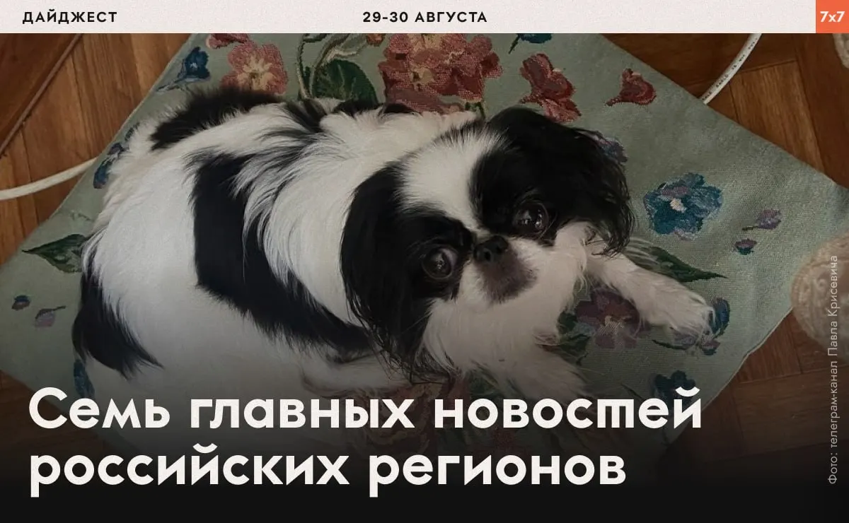 Сводка по региону: принудительные тренировки политзаключённых, проверки маникюрных салонов, запреты агитации и жалобы на действия власти.