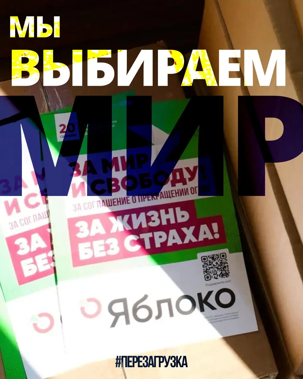 В 53 регионах идёт кампания 135 кандидатов; подана апелляция в Верховный суд по списку; поддержка растёт: тысячи людей подают заявки в московское отделение, россияне за границей выражают солидарность.