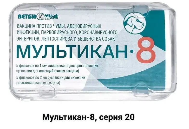 После массовой вакцинации препаратом «Мультикан-8» зарегистрированы случаи гибели собак. Владелец ветеринарных клиник и регуляторы проводят проверки, производитель отозвал некоторые серии.