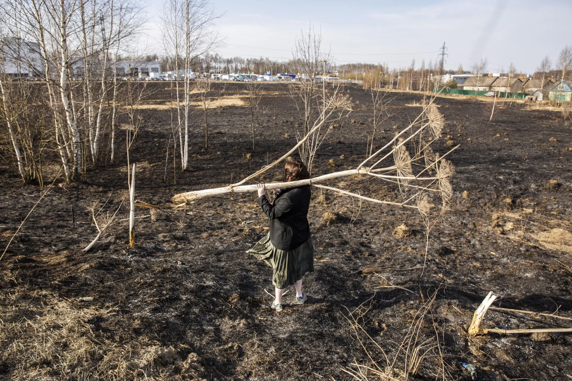 В Рязани сейчас особенно активны некоторые аллергены.